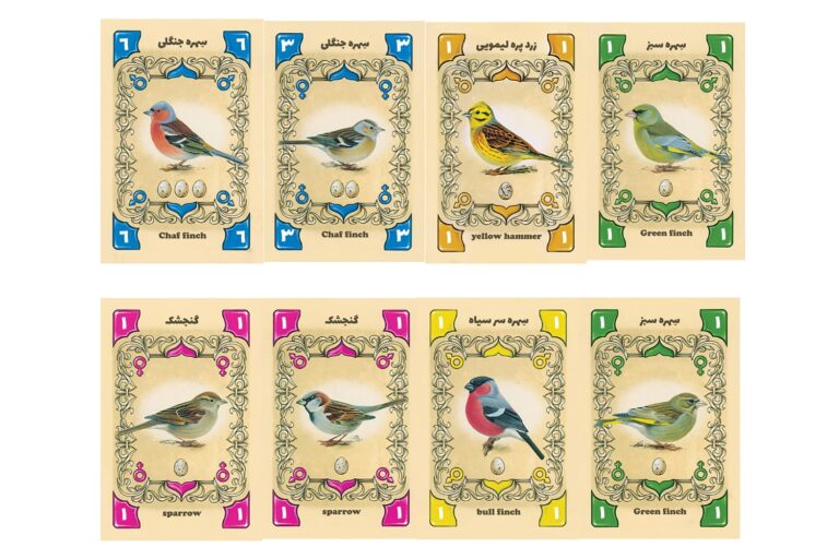 بردگیم پرندگان کوچک آوازخوان piepmatz